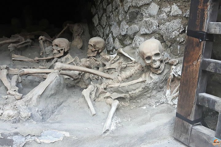 Day Tour Archaeological Site Of Pompei And Herculaneum image