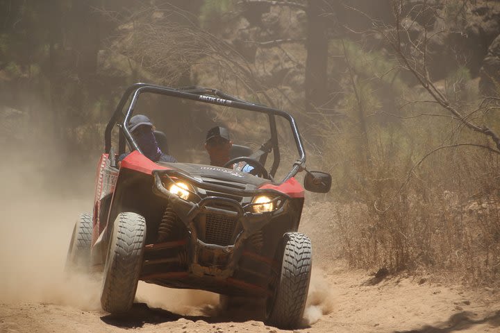 Buggy Safari (Off Road) image