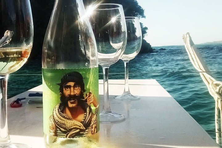 Wine tasting in the Urdaibai estuary aboard a catamaran image