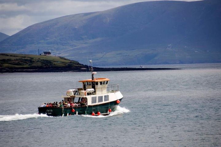 Dingle Peninsula Day Tour from Limerick image