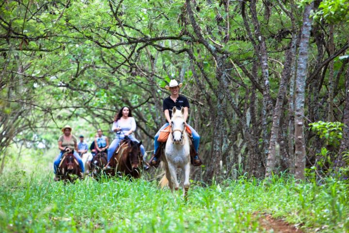 Horseback Riding + Zipline Package image