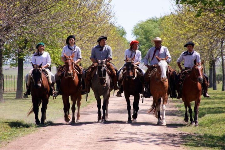 Private Tour: Gaucho Ranch in San Antonio de Areco from Buenos Aires image