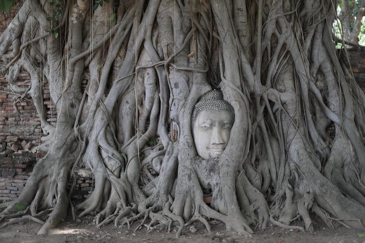 Ayutthaya highlights tour -Transport only image