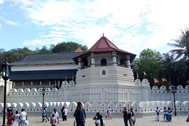 Kandy From Colombo Airport  image