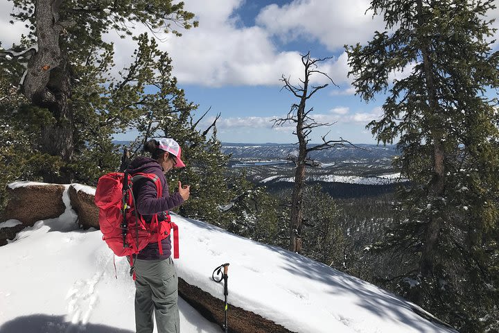 Classic Crags Hike near Pikes Peak image