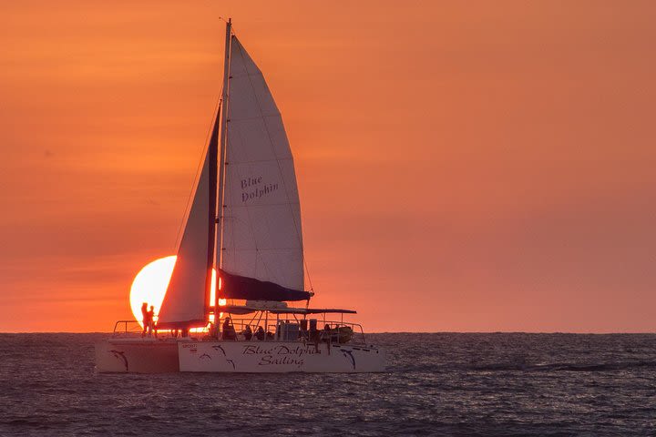 Blue Dolphin Sailing Adventure image