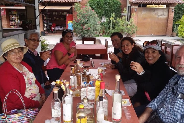 Mitla, El Tule and Mezcal Tasting Day Trip from Oaxaca image