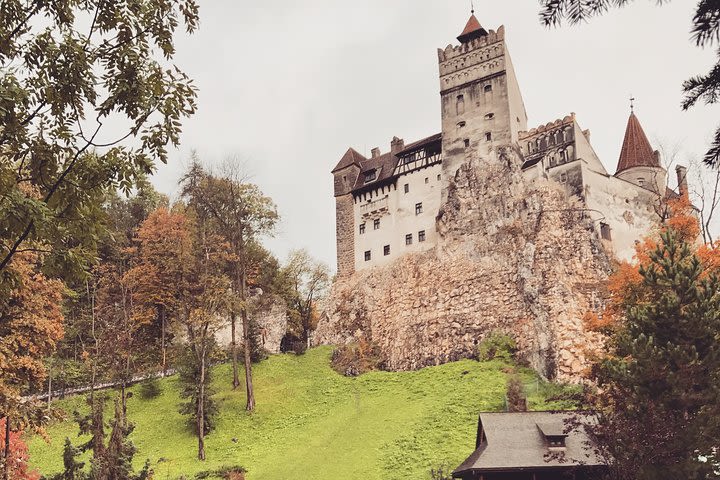 Bran and Rasnov Castles Tour from Brasov image