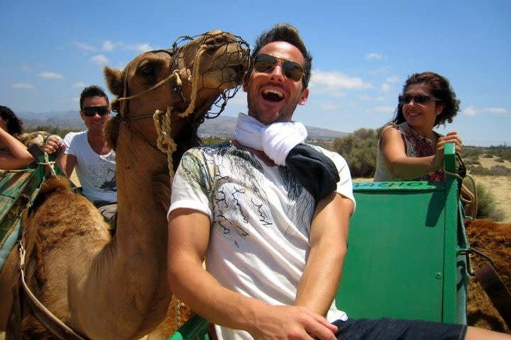 Camel Safari through the Dunes of Maspalomas image