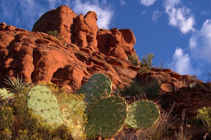 Sedona Outback Trail Jeep Adventure image