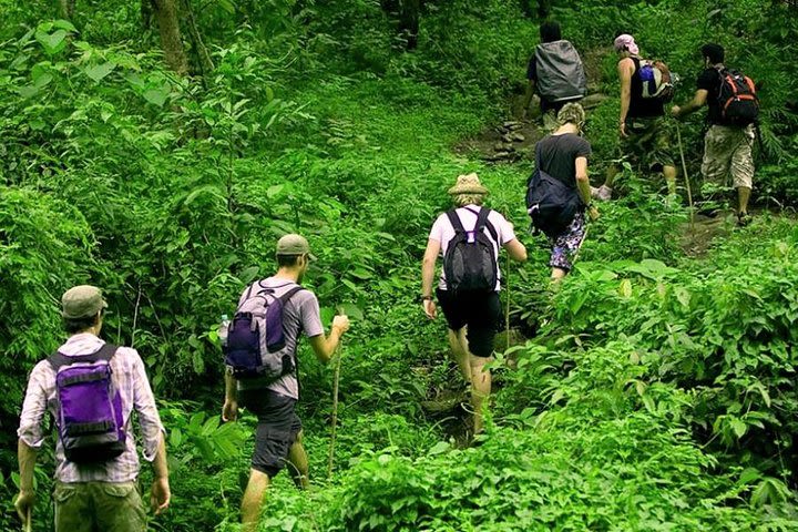 True Bali Experience - Rain Forest Trekking image