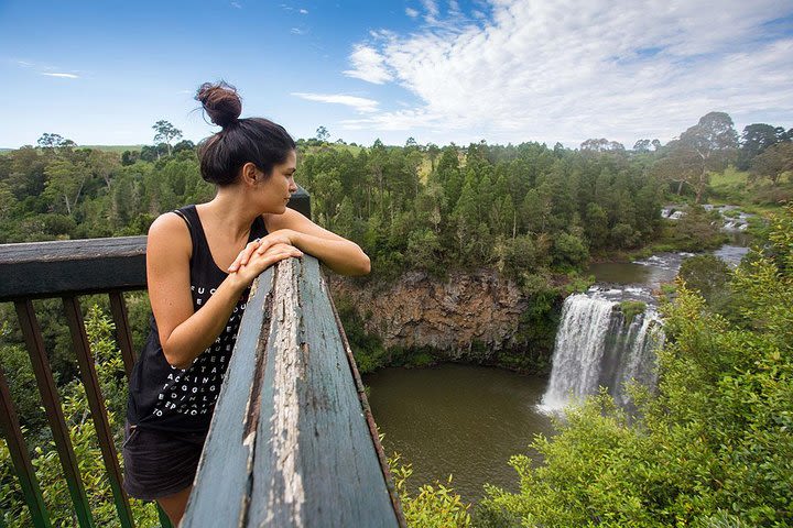 Boutique Brisbane to Cairns Australian east coast tour - 8 Day small group image