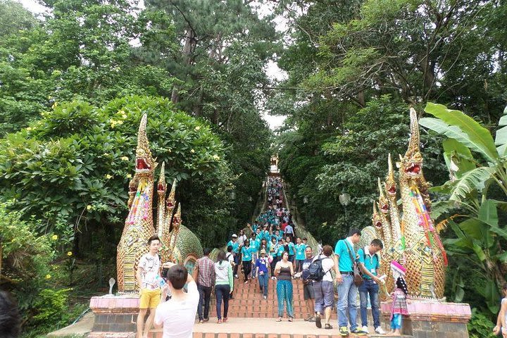 Half Day Doi Suthep Temple and city temples(Private Tour) image