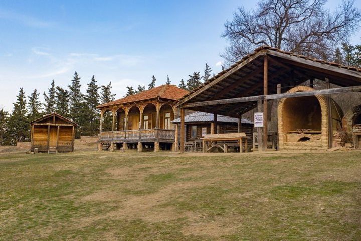 Tbilisi Open Air Museum of Ethnography Admission Ticket image