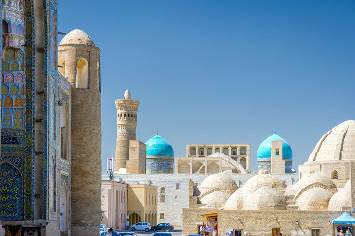 Bukhara One Day Tour - Departure From Tashkent image