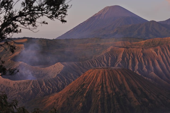 Bromo Midnight tour from Surabaya (1 Day tour) image