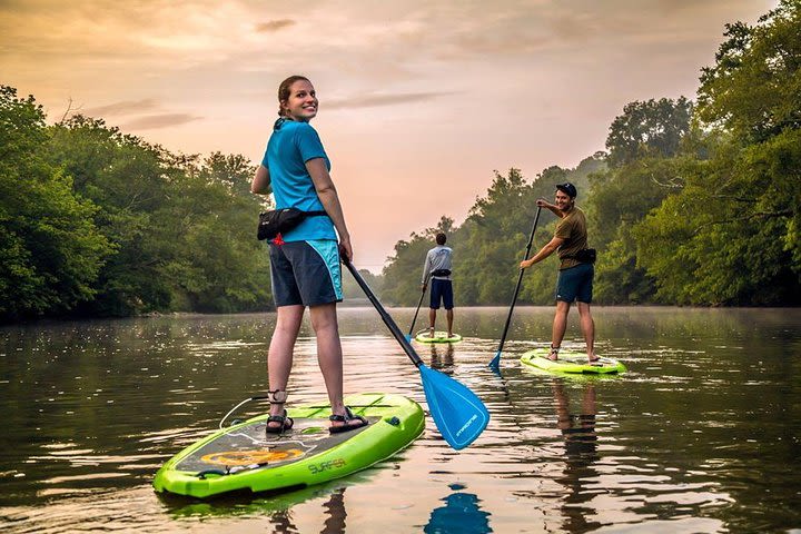 4-Mile Guided Paddleboard Tour on The French Broad River in Asheville image