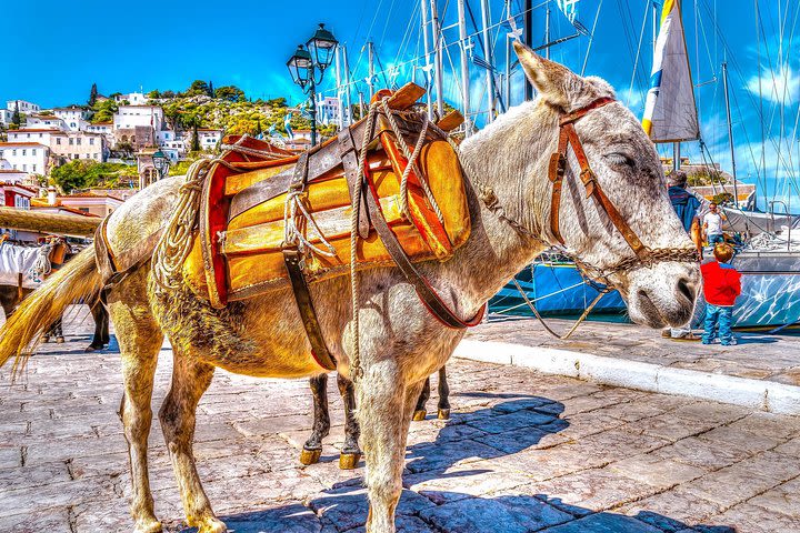 Full Day Cruise to Greek Islands from Athens: Poros - Hydra - Aegina image