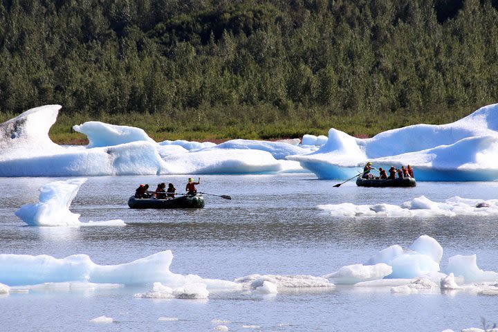 Bears, Trains & Icebergs Tour image