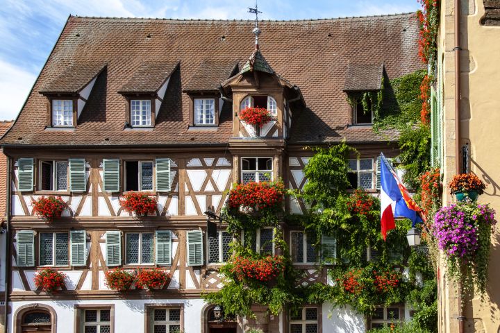 Gems of Alsace From Colmar (Shared) image