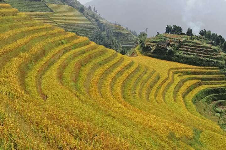 2 Day Longsheng Hot Spring Private Tour Combo Package image