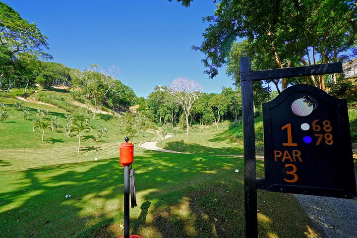 Golf at Black Iguana image