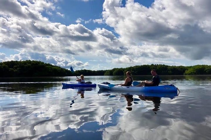 Saint Petersburg Mangrove Kayak Tour  image