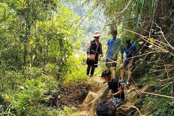 Sapa trekking tour 2 days 1 night by bus from Ha Noi  image