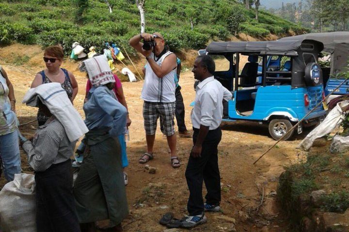 Tuk Tuk Safari in Tea plantation, View Points, Water Falls, Spice Plantations image