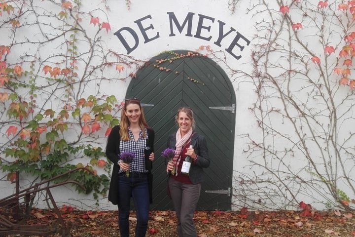  Daily Different small group WINE tour - from Stellenbosch image