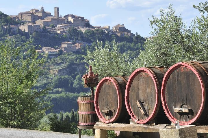 Chianti Lovers Tour- 2 Wineries and SuperTuscan Small Group from Lucca image