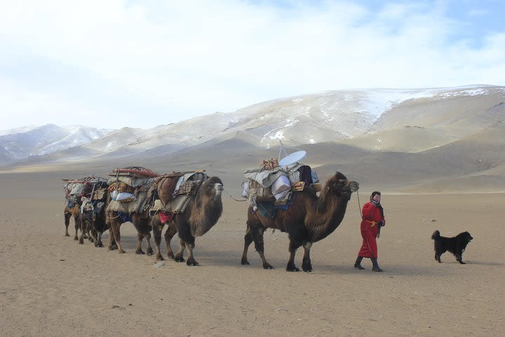 11 Days Camel Caravan of South Gobi  image