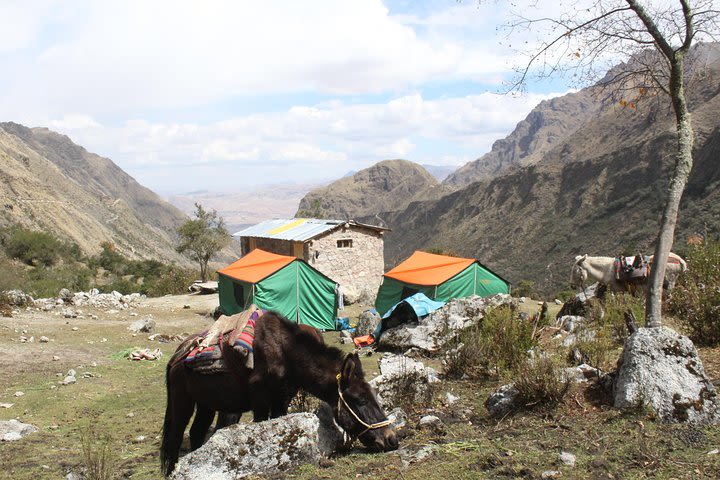 Lares Trek to Machu Picchu (4Days/3Nights) image