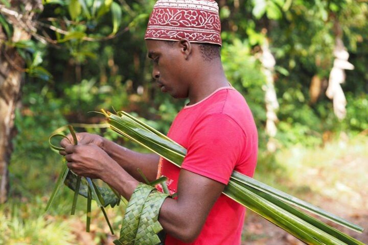 Zanzibar Full-Day Cultural Tour image