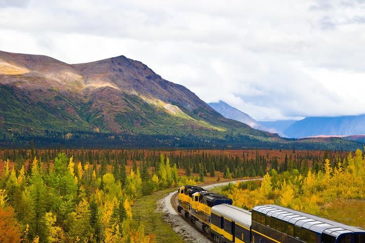 Alaska Railroad Anchorage to Denali One Way image