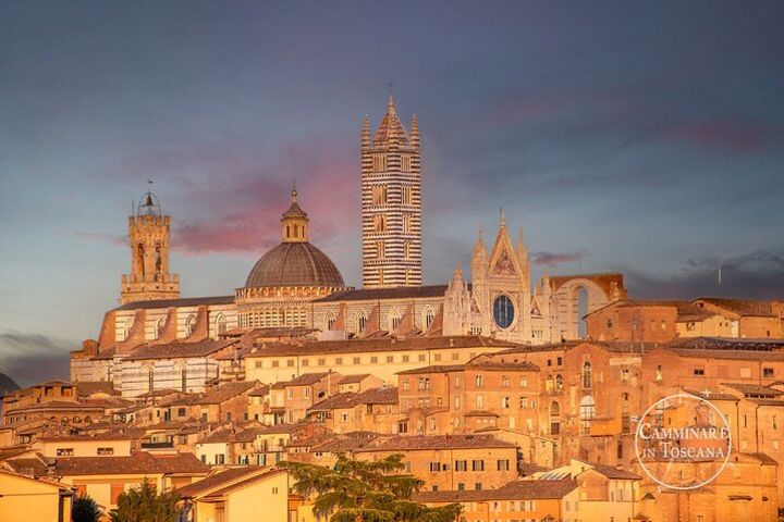 Private tour of Siena image