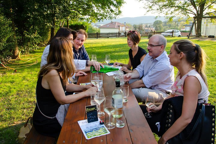 Countryside Half Day Wine Tour near Vienna image