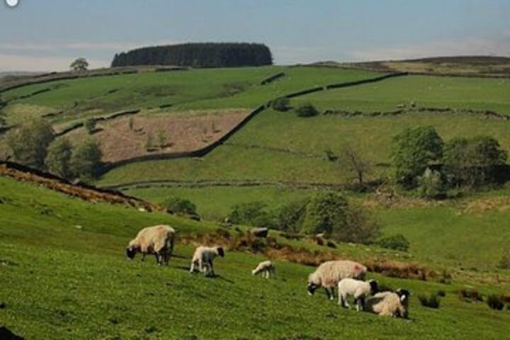 Haworth and Yorkshire Dales Day Trip from York image