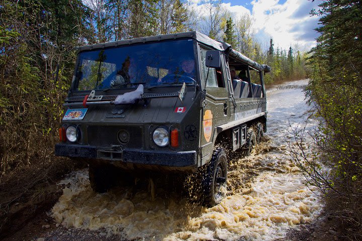 Denali Backcountry Safari image