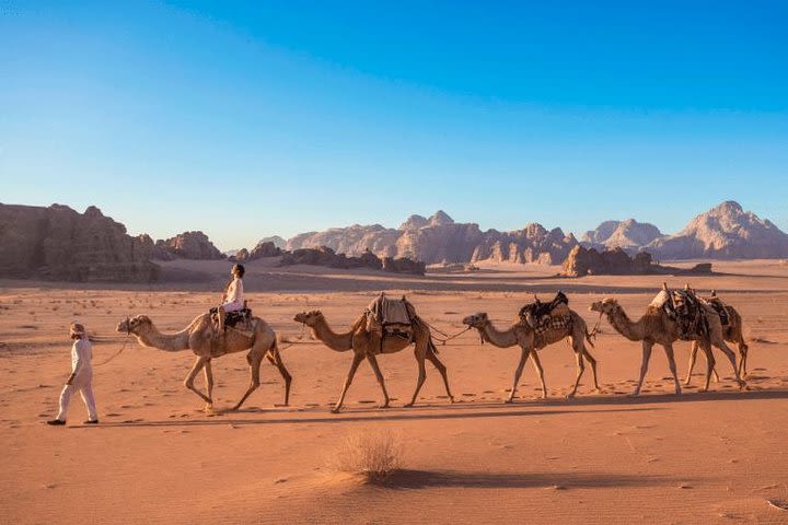 03 Days Petra, Wadi Rum and Dead Sea image