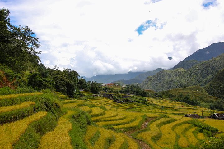 Sapa Private Car Tour - 1 day| Enjoy the Rice Terraced Fileds image