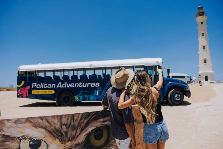 Aruba Bus & Hop-on Hop-off Tour image
