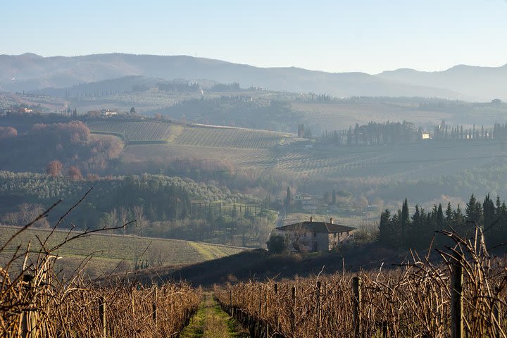 We meet the Medici ... in the countryside! image