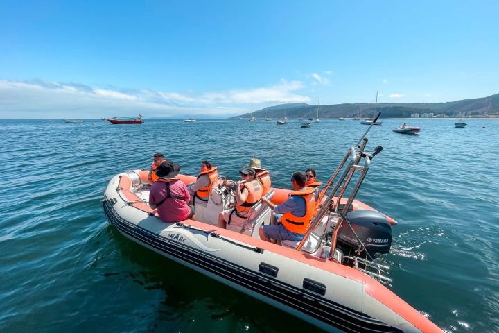 Tour en Zodiac por Papudo: Punta Pite, Lobos y Lilenes image