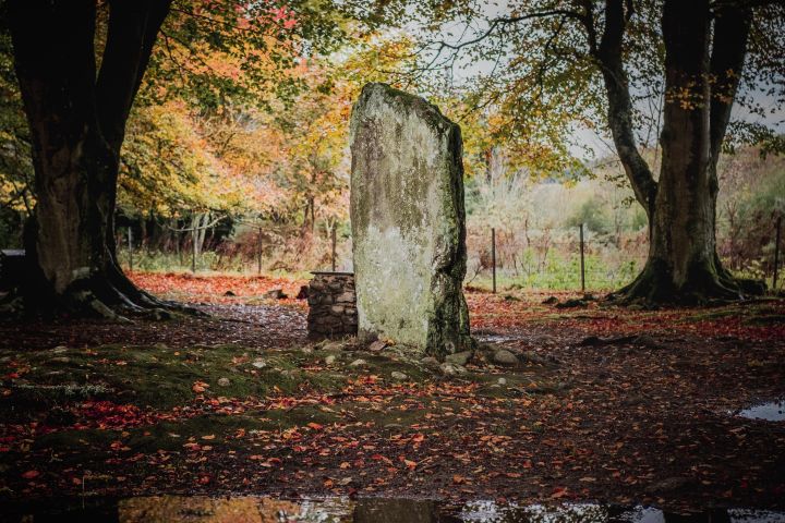 Glen Affric, Culloden & Clava Cairns Tour image