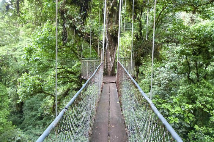 Day Trip from San Jose to Arenal Hanging Bridges & Baldi Hot Springs Resort image