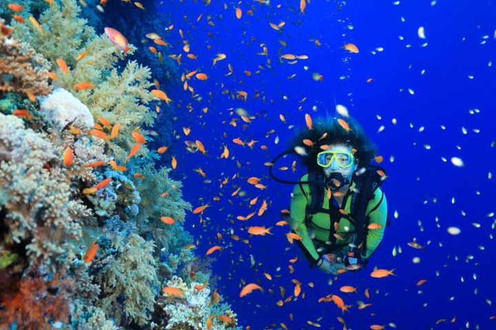 PADI Open Water Diving Course in Marsa Alam image
