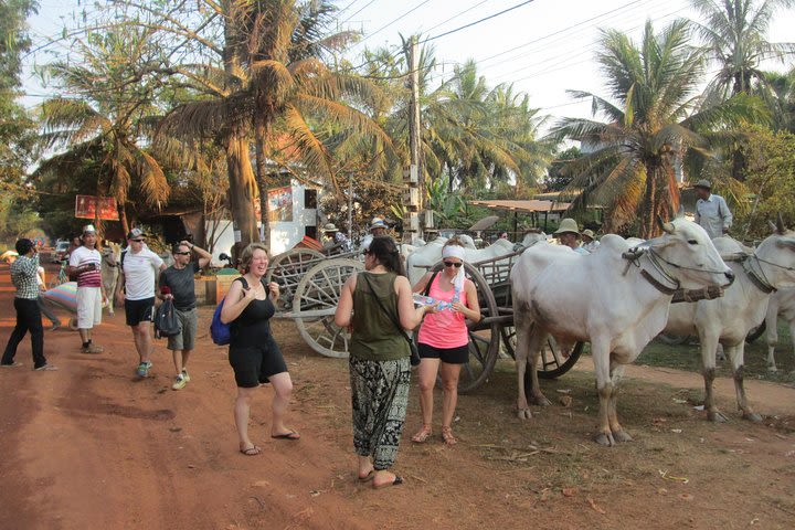 Ox-cart Culture Tour, Countryside Experince in Siem Reap image