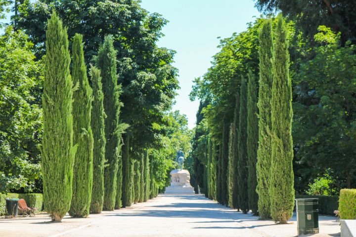 El Retiro: Self-guided Audio Tour on Your Phone no ticket image