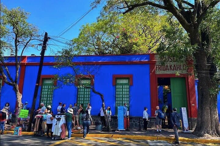 Ticket to Frida Kahlo's Museum  image